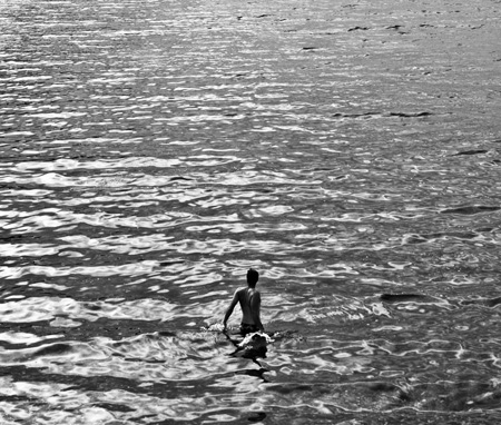 Lone Swimmer