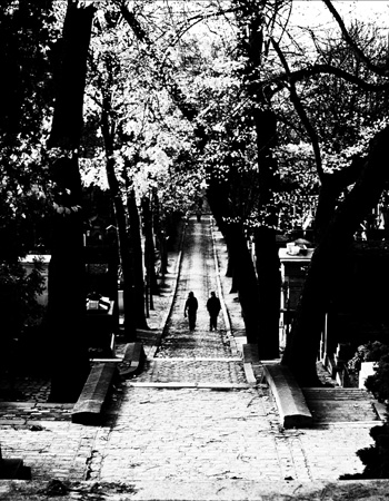 Pere Lachaise 2