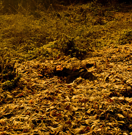At One With Leaves