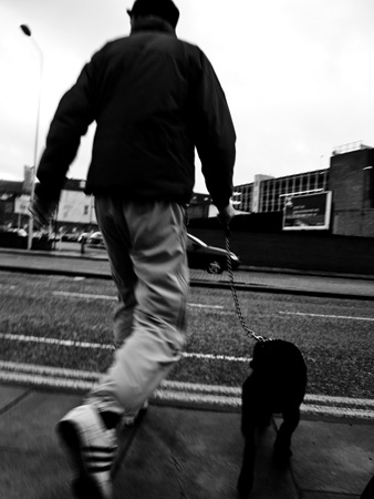 Dog Walker