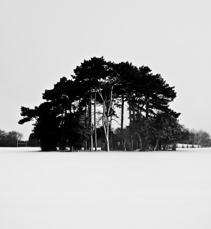 The Copse